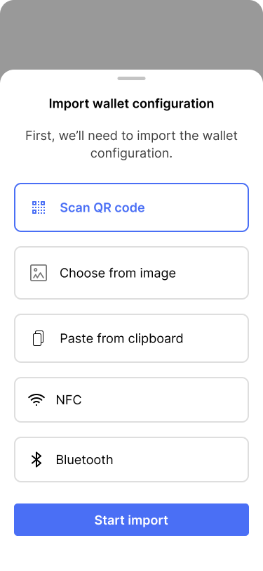 Screen showing different options to import the wallet configuration.